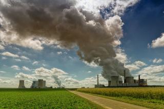 Compensation carbone : financer des projets pour neutraliser