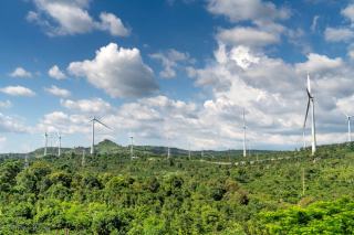 Crédit vert : financer vos projets écologiques à taux réduit